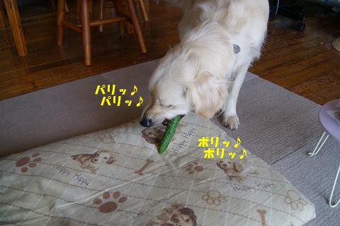 c0214455_17184420.jpg