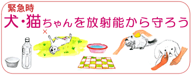 イラストで見る 犬猫ちゃんを放射能から守ろう 無料リーフレット できることから はじめたい イラストで見る 犬猫ちゃんを放射能から守ろう 無料リーフレット できることから はじめたい