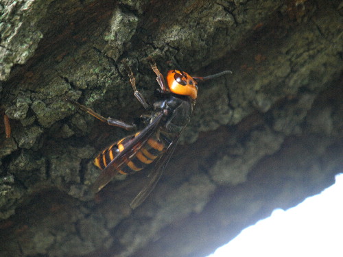 f0208666_14471273.jpg