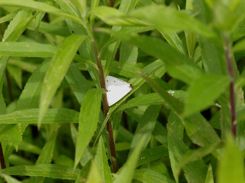 f0208666_14531531.jpg
