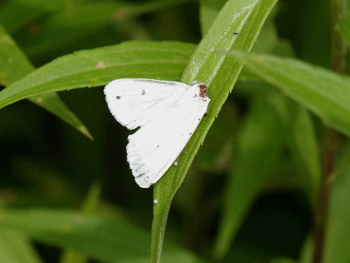 f0208666_14555867.jpg