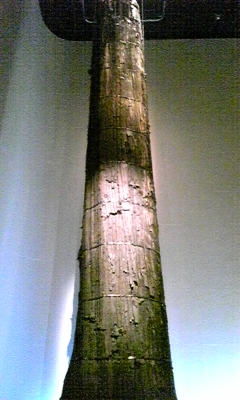 e0143667_12293166.jpg