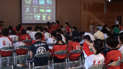 静岡_c0000970_16575811.gif