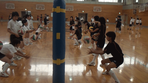 静岡_c0000970_1732728.gif