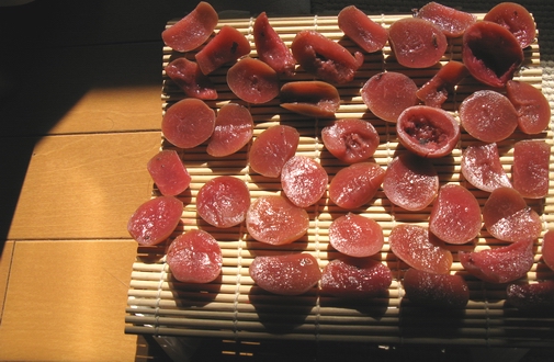 c0124773_21451483.jpg