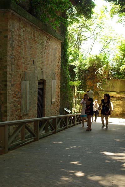 a0196876_06504.jpg