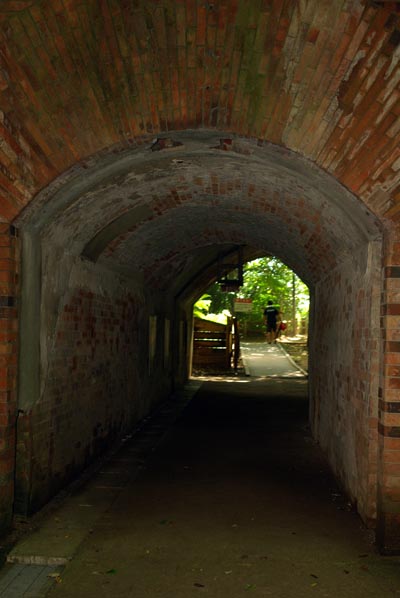 a0196876_06957.jpg