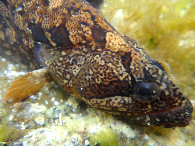 c0157482_222987.jpg