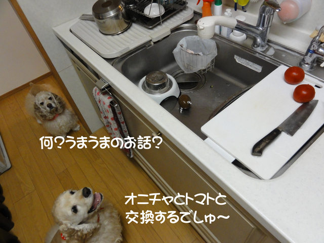 f0218182_22324283.jpg