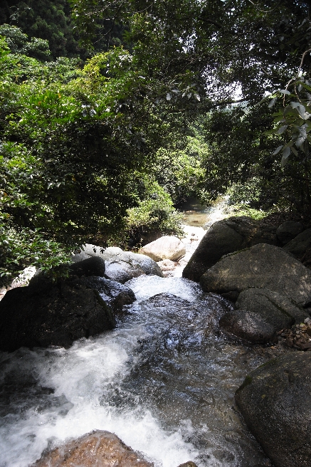d0129886_12183160.jpg