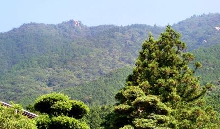 d0125589_13215741.jpg