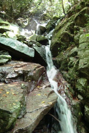 d0125589_13223246.jpg