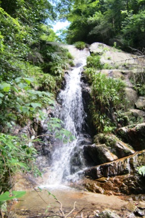 d0125589_13255415.jpg