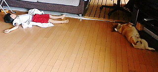 f0200795_9305998.jpg