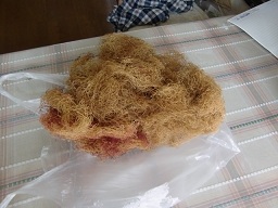 c0187298_23213615.jpg