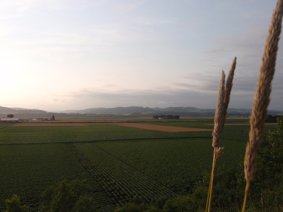 d0156298_23313227.jpg