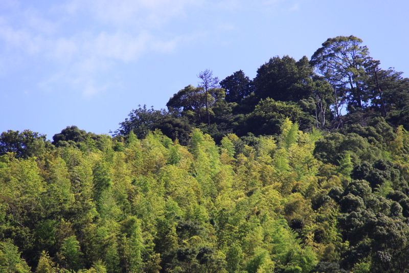 d0248502_9551628.jpg