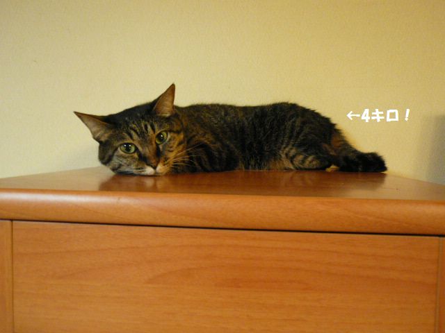 e0094407_21141070.jpg
