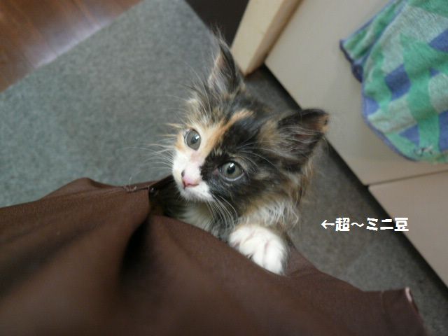 e0094407_2184227.jpg