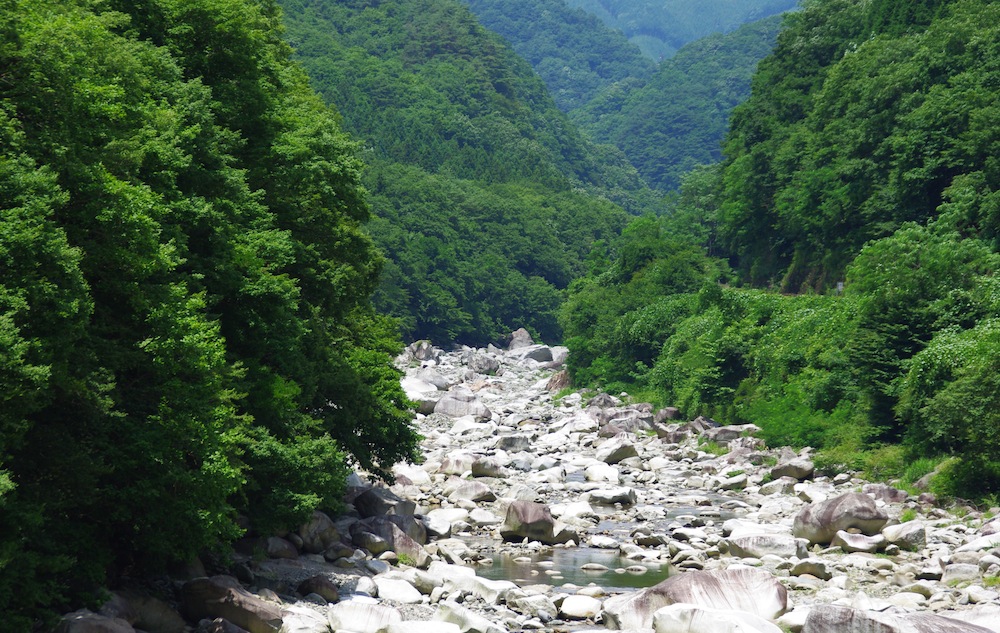 f0138807_19553893.jpg