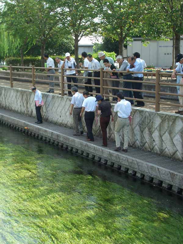 いろいろなことがわかった「田宿川をもっと学ぼう!」講演会_f0141310_712597.jpg