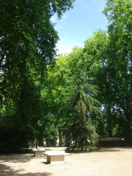 c0124619_2317447.jpg