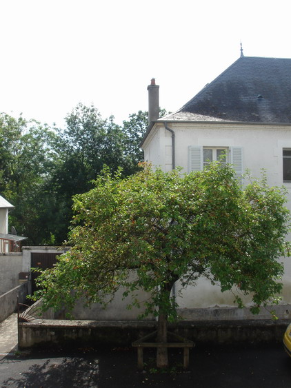 c0124619_23182150.jpg