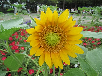 f0207320_12254844.jpg