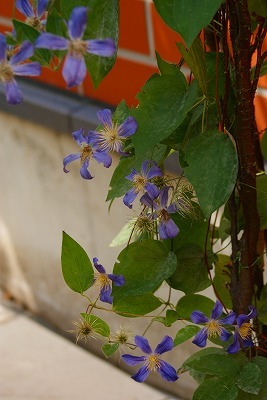 f0170524_134408.jpg