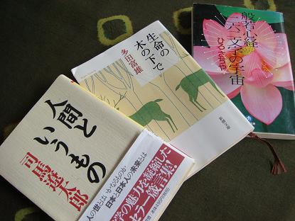 般若心経はやっぱりいいですね_a0120328_8582061.jpg