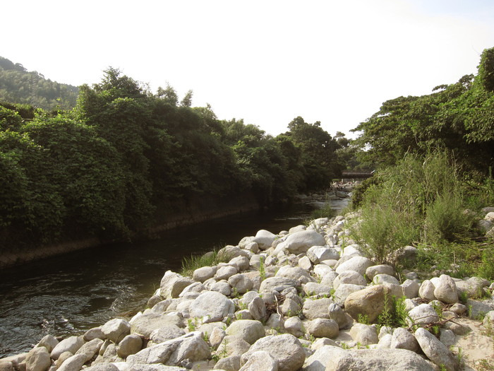 b0191633_1212859.jpg