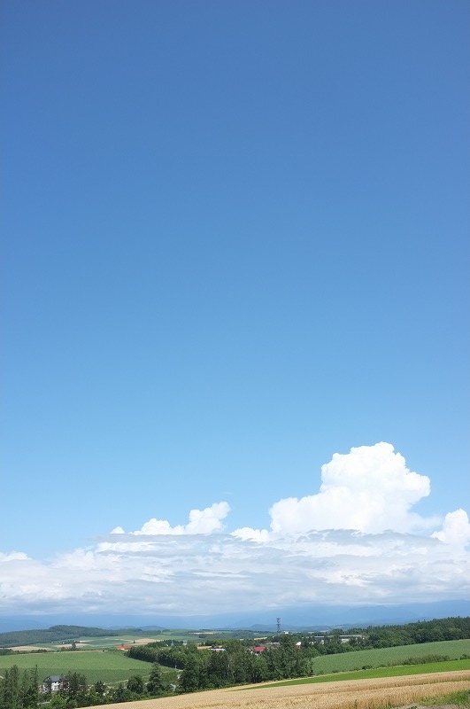 富良野夏の午後_f0050534_783713.jpg