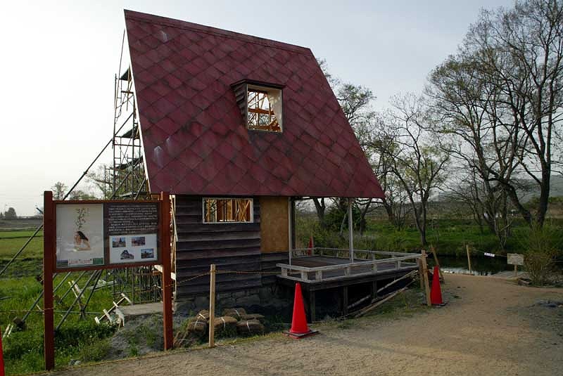 八方尾根と栂池高原の植物を楽しむⅠ_c0115938_12252731.jpg