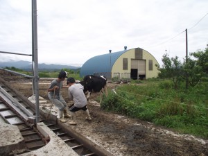 f0097539_11591529.jpg