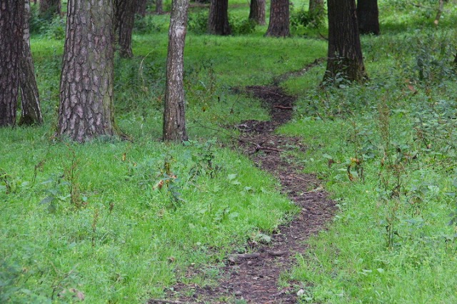 c0153740_21353060.jpg