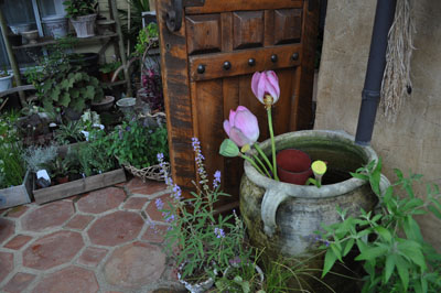 f0204440_064553.jpg
