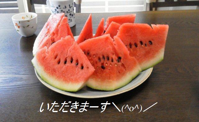 c0174644_0204698.jpg