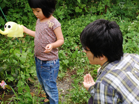 2011北海道~9日目・樹海/チーズ工房_d0227246_11314498.jpg