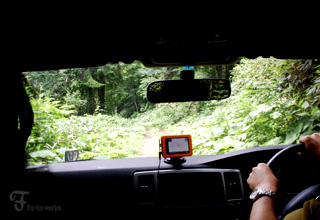 2011北海道~9日目・樹海/チーズ工房_d0227246_11315612.jpg