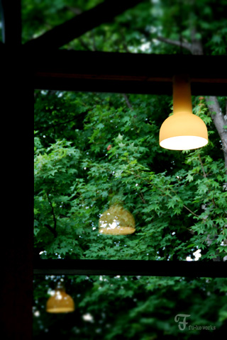 2011北海道~9日目・樹海/チーズ工房_d0227246_11331023.jpg