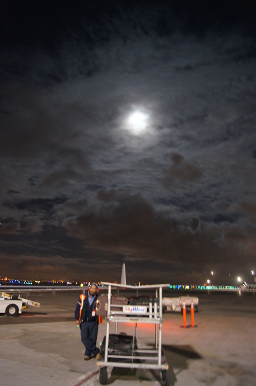 c0132048_8115139.jpg