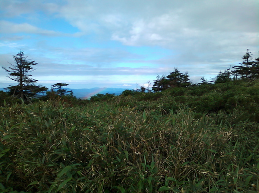 d0155148_19132544.jpg