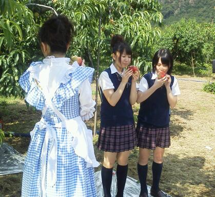 AKBが桃狩り_e0219448_27573.jpg