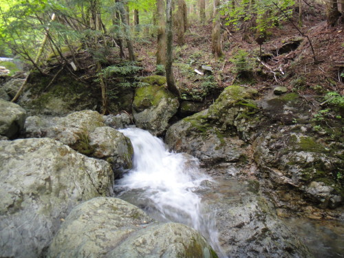 c0179351_93499.jpg