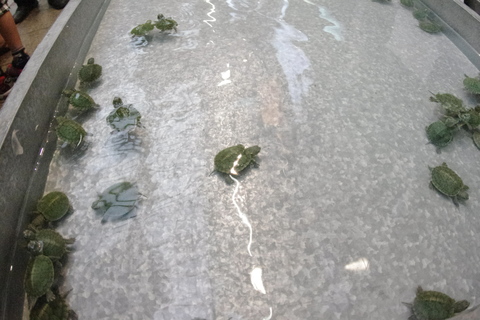 b0005152_1552368.jpg