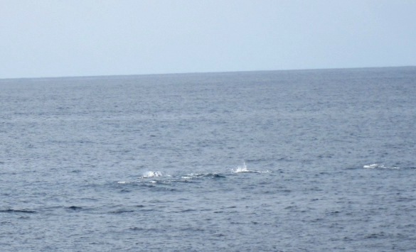 b0173754_1336147.jpg
