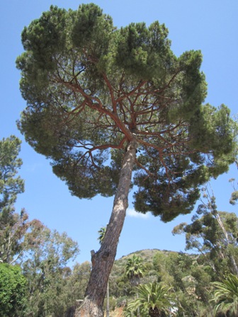 b0173754_13432149.jpg