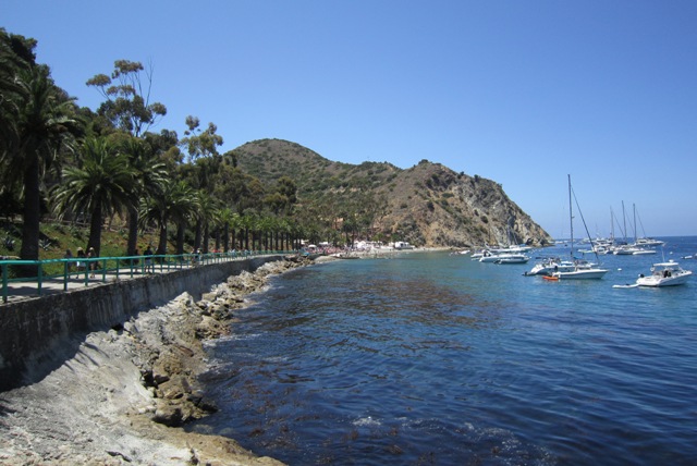 b0173754_1349619.jpg