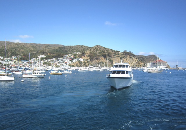 b0173754_226467.jpg