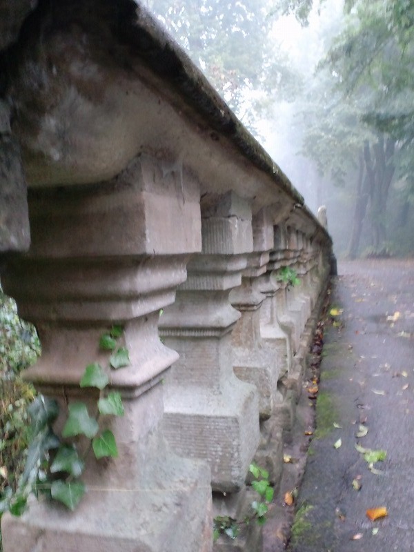 a0002261_11780.jpg